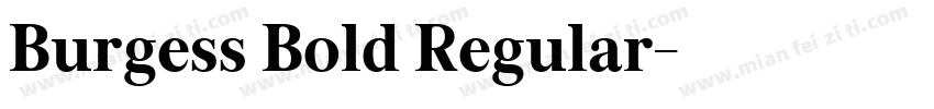 Burgess Bold Regular字体转换